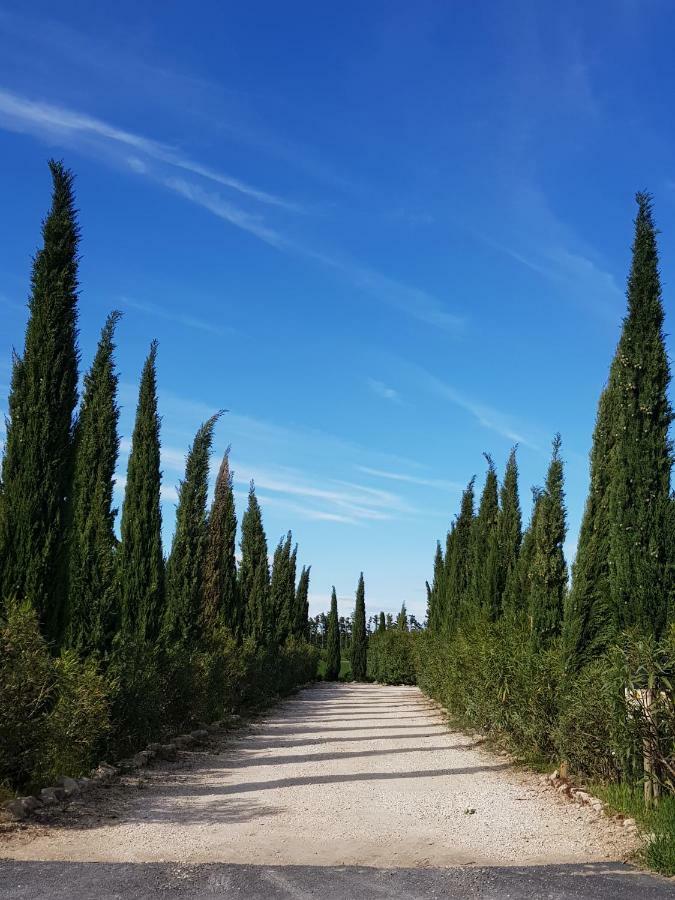Le Mas De Guiguite Mézoargues المظهر الخارجي الصورة