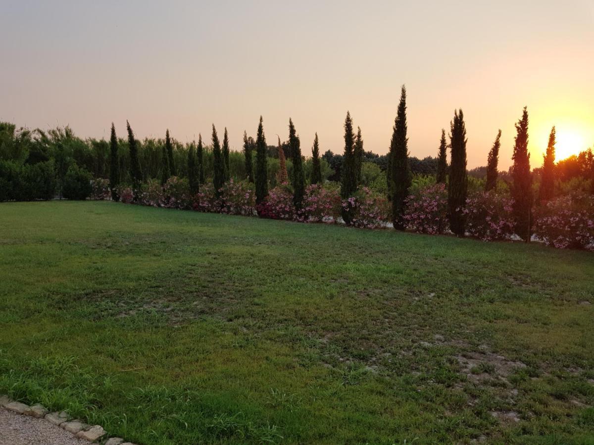 Le Mas De Guiguite Mézoargues المظهر الخارجي الصورة